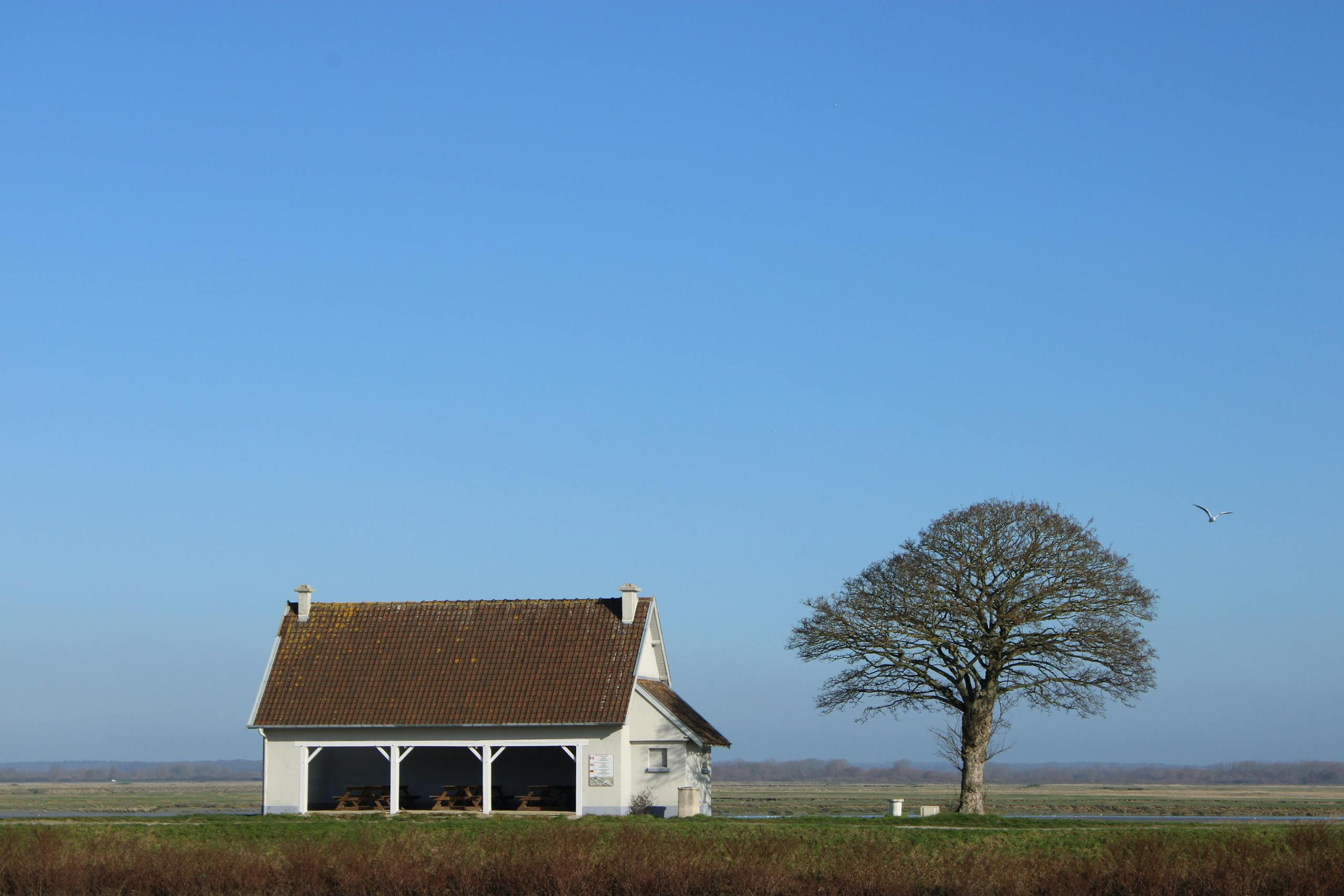 A small white house sits in the middle of a field